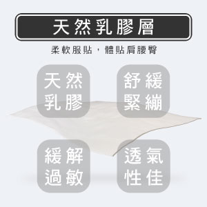天然乳膠床墊推薦-德式一型【龍馬名床】 - 3