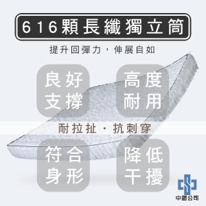 天然乳膠床墊推薦-X1型【龍馬名床】 - 2