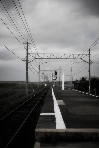 旅行 / 觀察 - 8