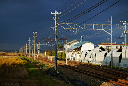 旅行 / 觀察 - 10