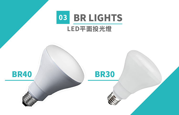 PAR、BR Lights－LED平面投射燈 - 2