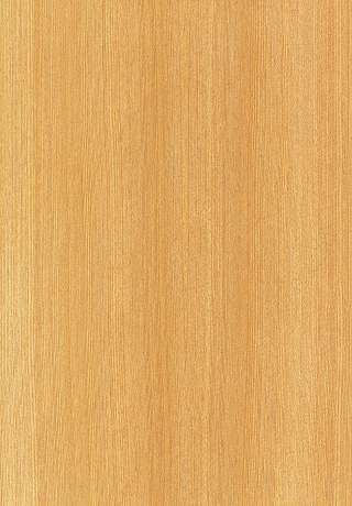 kd塗裝木皮板-平面系列 - 5