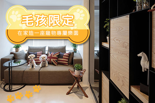 毛孩限定!在家造一座寵物專屬樂園