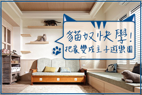 【貓奴御用篇】打造毛寶貝專屬遊樂園