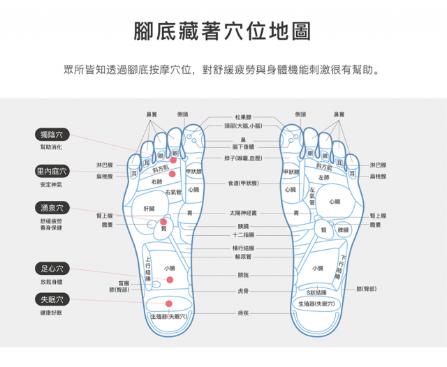【bgreen】uFit全身拍打垂直律動機(RW2) - 7