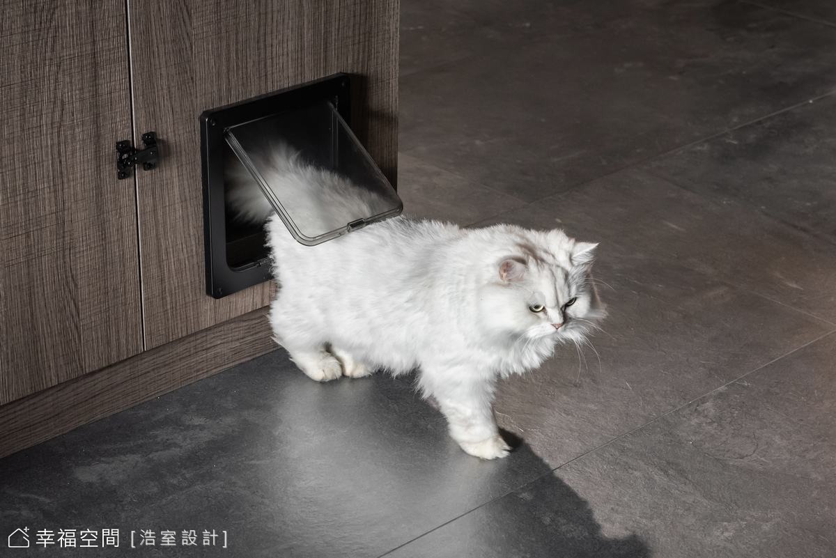 寵物專屬空間